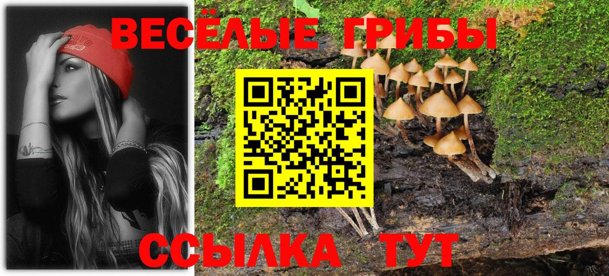 Псилоцибиновые грибы мухоморы  Вход с VPN  Саянск 